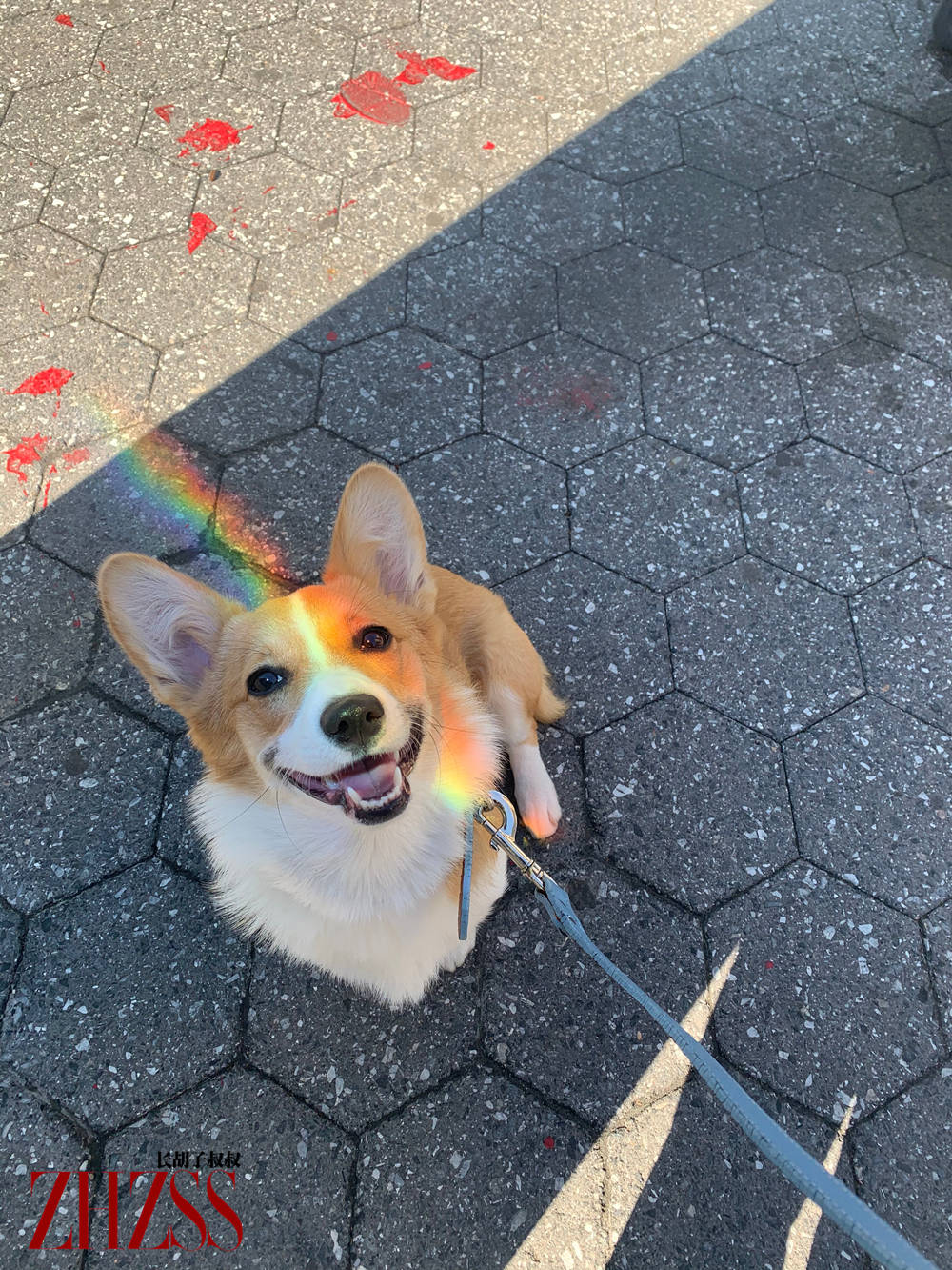 穿过|男士时尚丨夏季！英文字母黑色T恤！