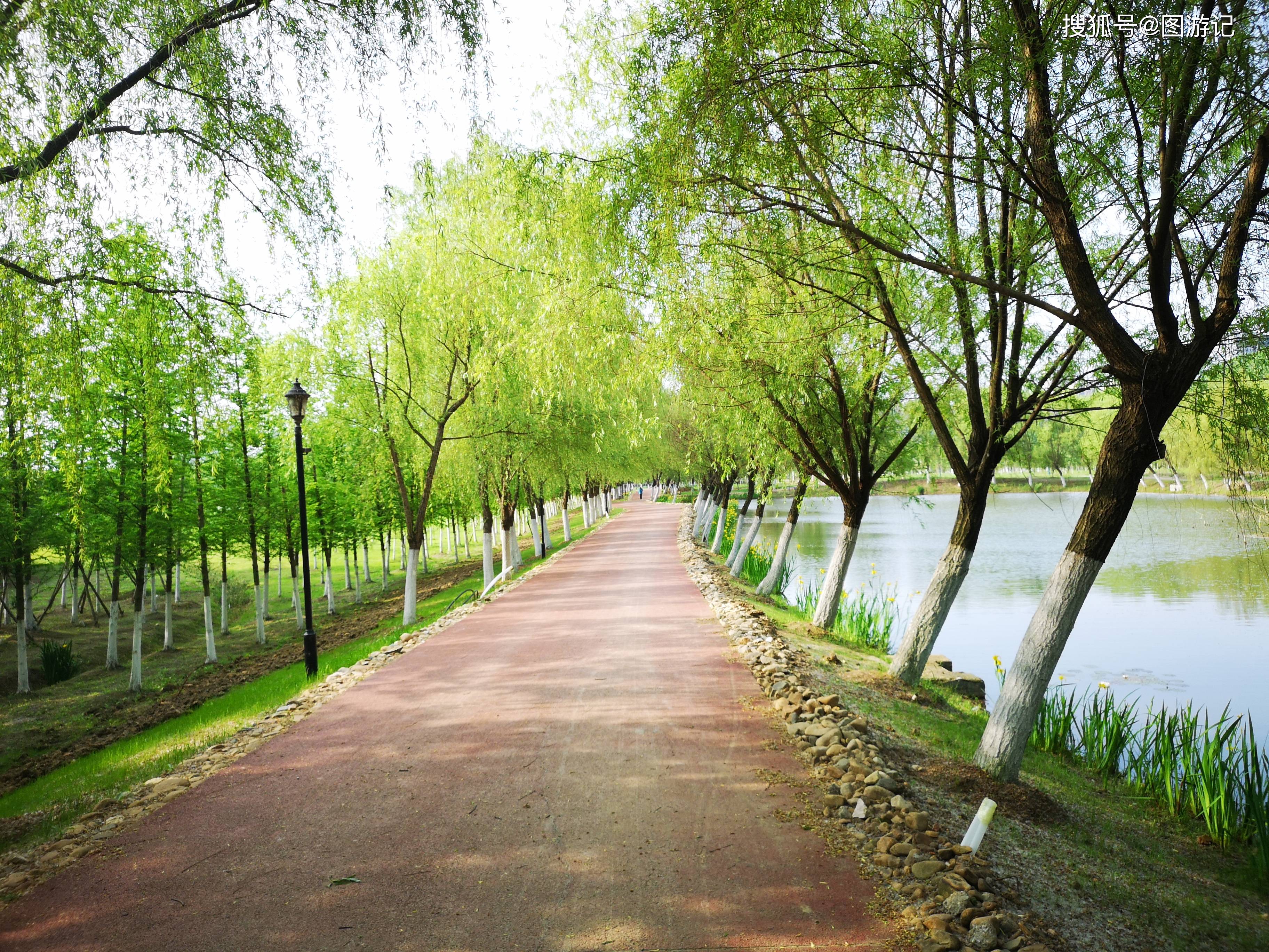合肥滨湖最美的公园,塘西河风光迷人