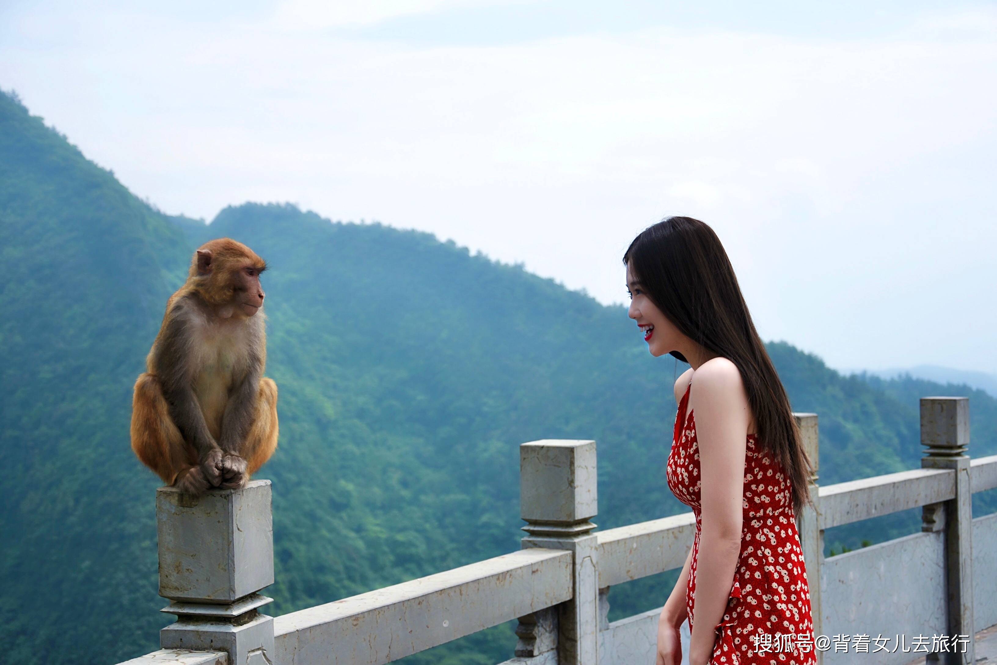 鲜花|打卡重庆小众旅行地，人少景美不排队，女生拍照绝绝子