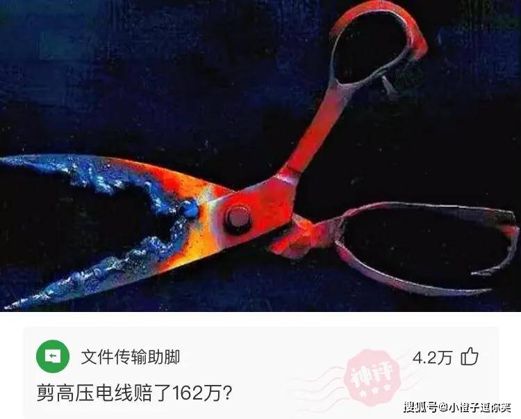 爆笑第9期：那些意想不到的大神評論。 搞笑整蠱 第5张