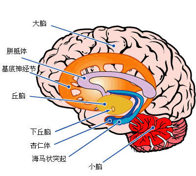 怎么让自己变得有压力 5eb8dc23d55e4f4f9fa9b1385b7e0de1.jpeg