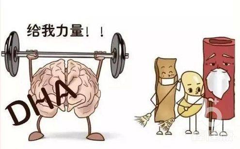 什么|为什么亚麻籽油那么火？它到底隐藏着什么健康的秘密。。。