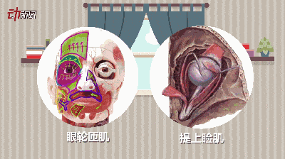 【疾病科普】面肌痉挛治疗过程中如何学会避免误区?