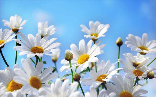 过敏性|过敏性紫癜应该如何治疗?