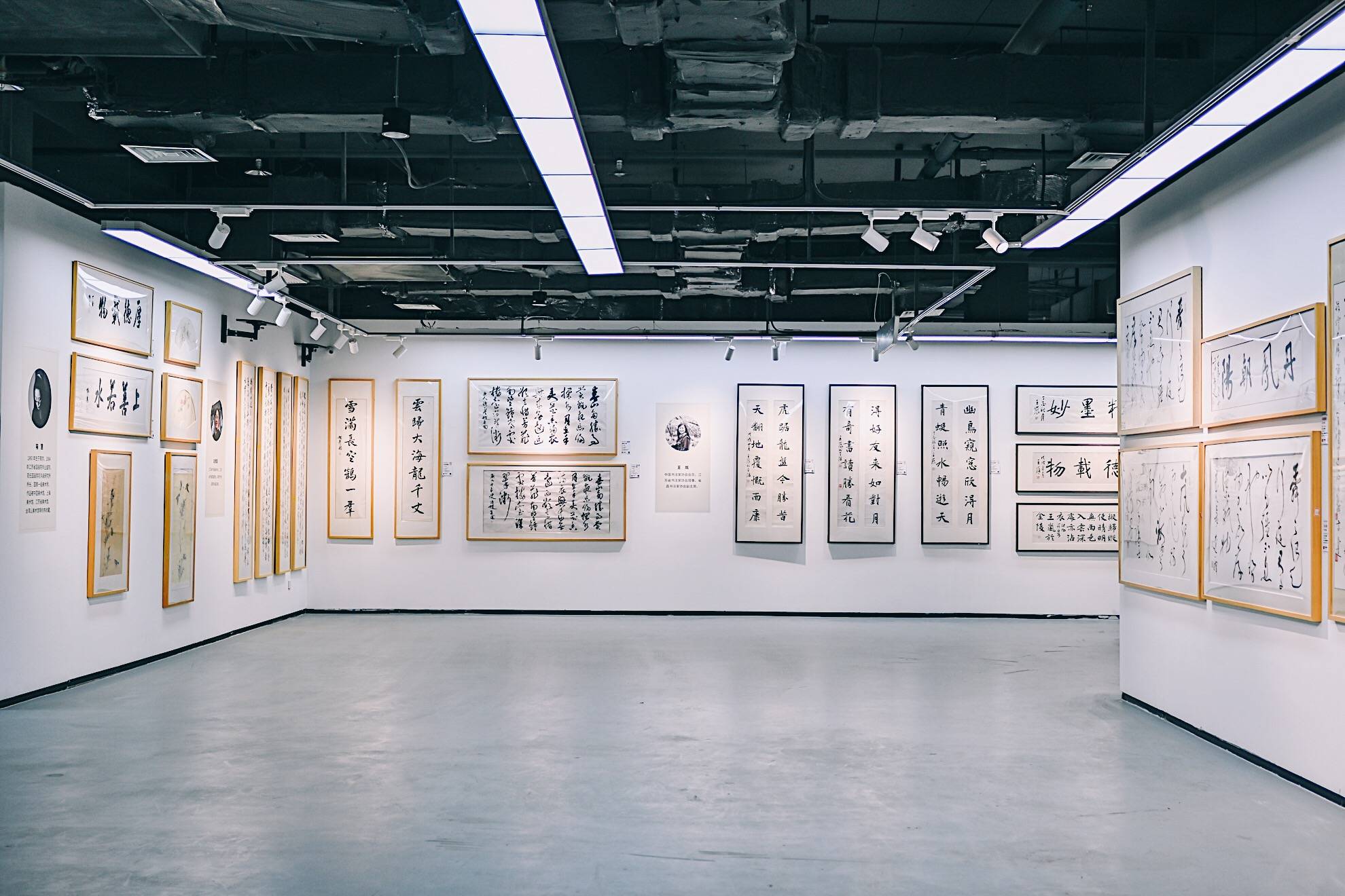 海德全球艺术沙龙百家湖美术馆9月云上揭幕