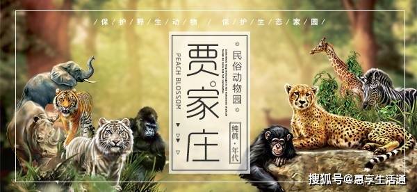 汾阳贾家庄生态园景点介绍|汾阳贾家庄民俗动物园游玩项目|优惠门票