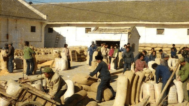 王旭光 | 交公粮_麦子