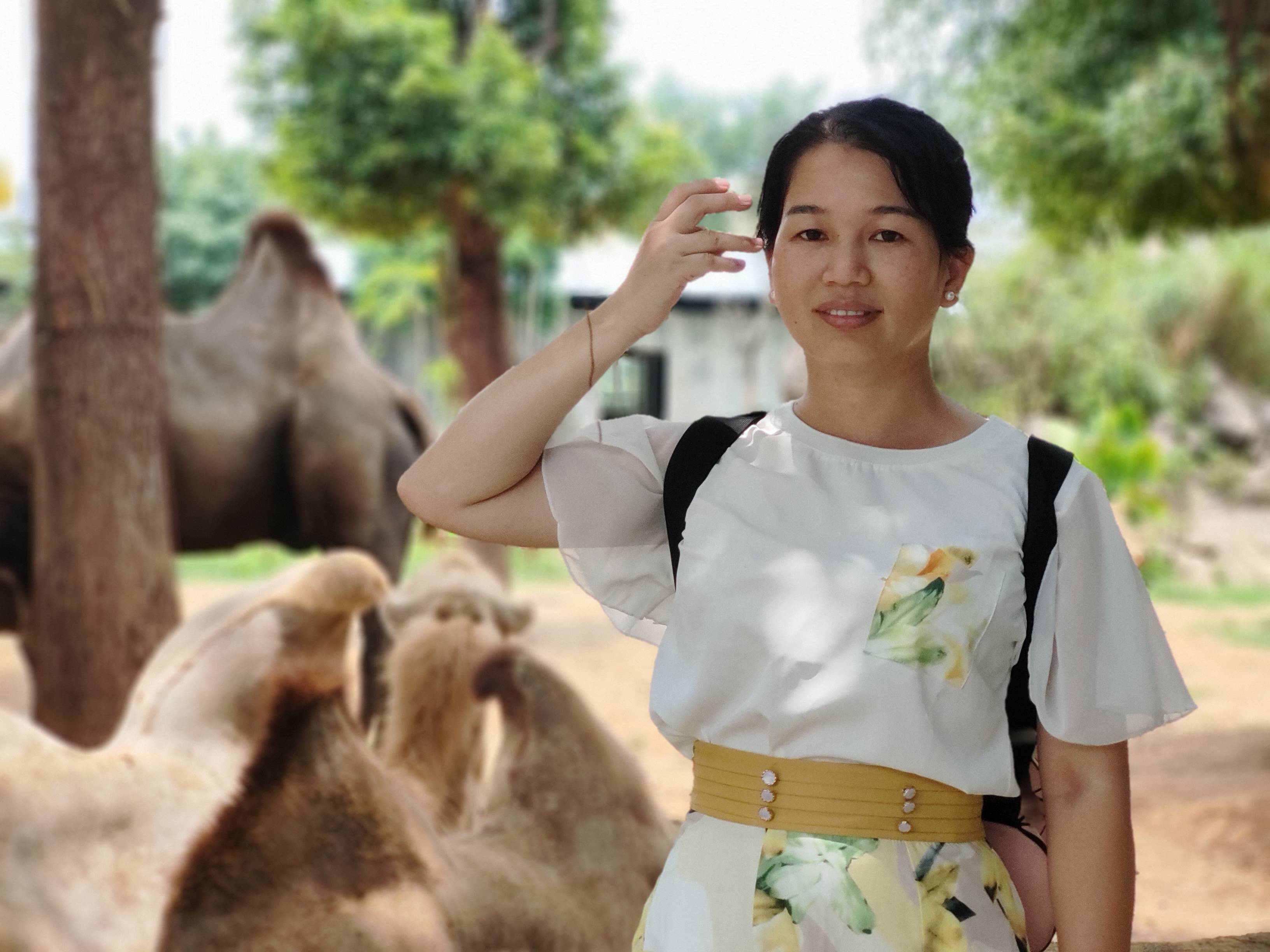 秦玉梅老师简介