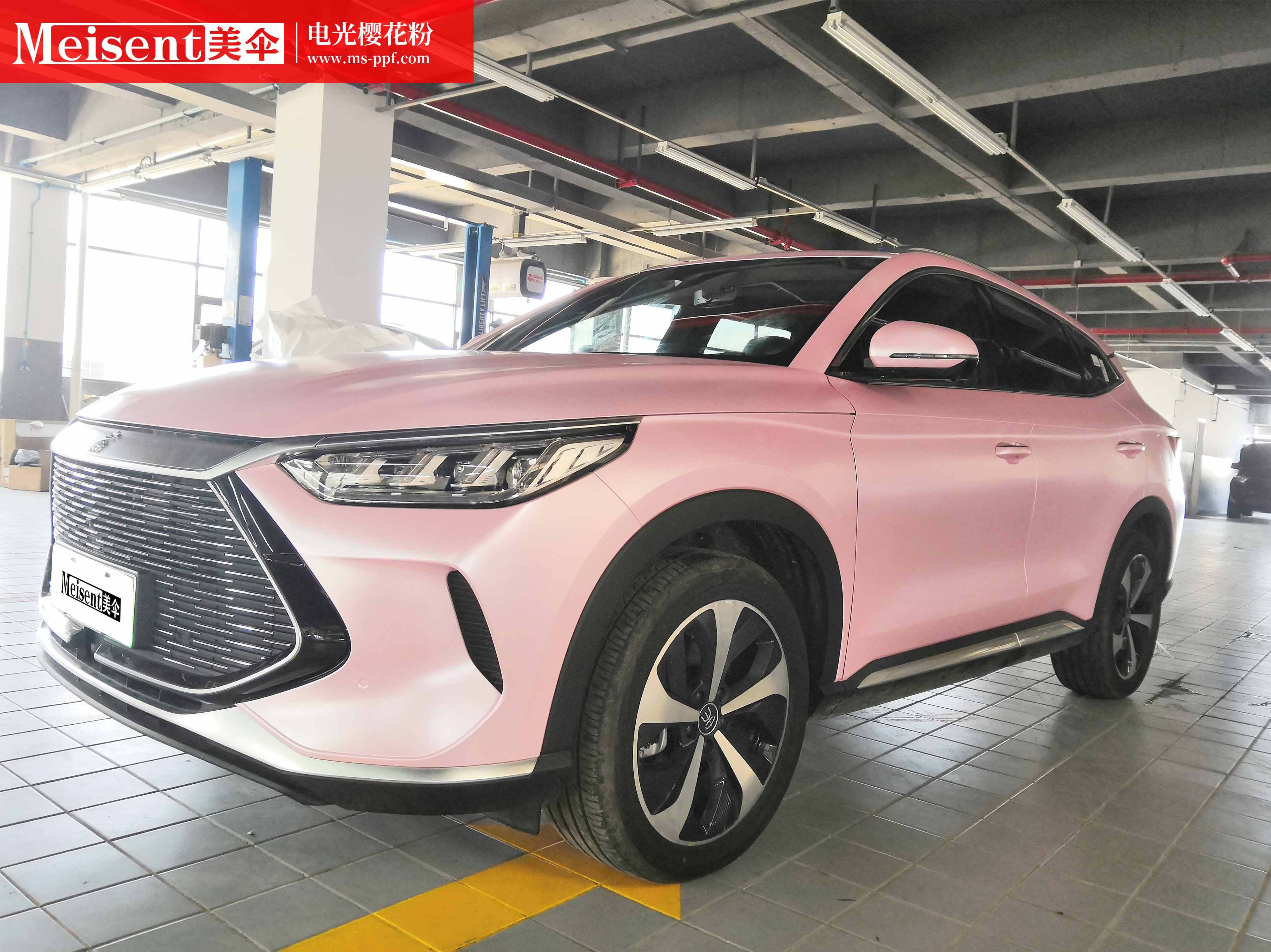 美国meisent美伞进口高端改色膜 电光樱花粉--比亚迪宋