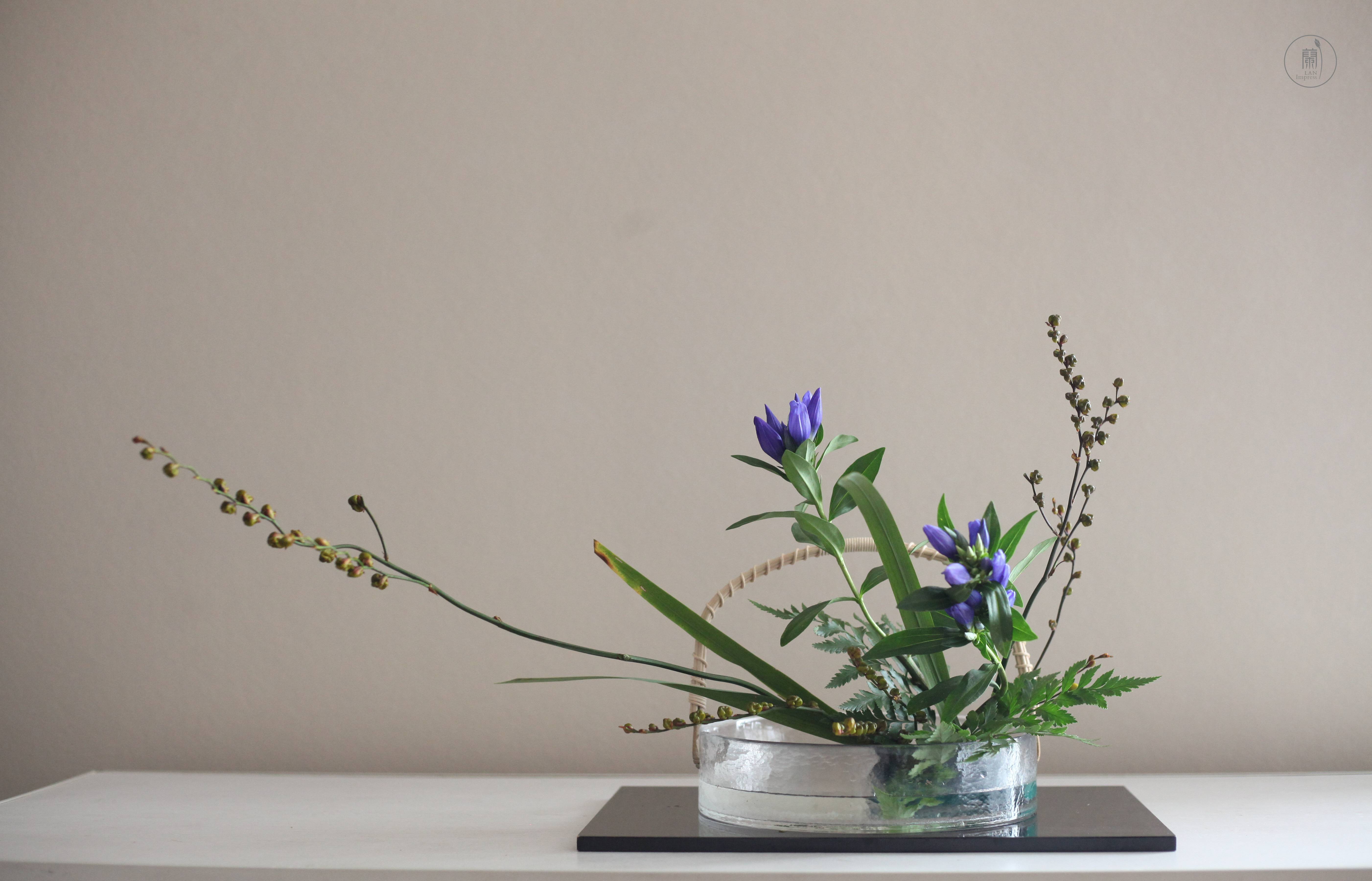 兰印象小原流花道|白露插花