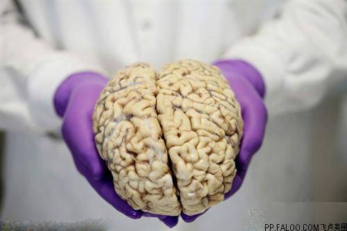 能力|帕金森病药物治疗不良反应的防治