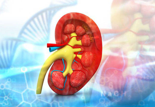 iga肾病是肾病综合症吗 904dc36ad8c6427585c391dd1bc8bab4.jpeg