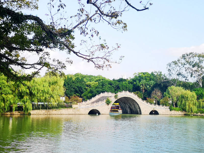 印象西湖_柳映水