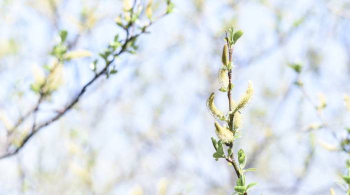 家电企业转型战略的落地，是时候要动两项“大手术”了-家电圈官网