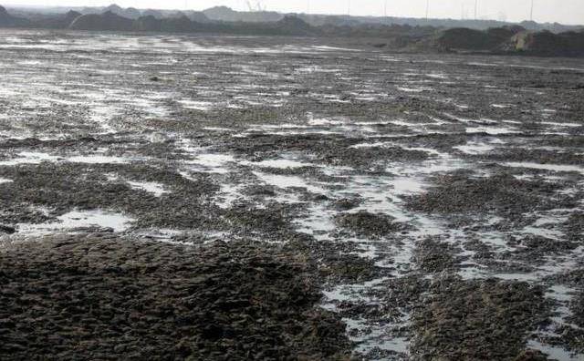 淤泥淤泥沉积在静止的水或缓慢流动的水环境中,通过生物化学作用形成
