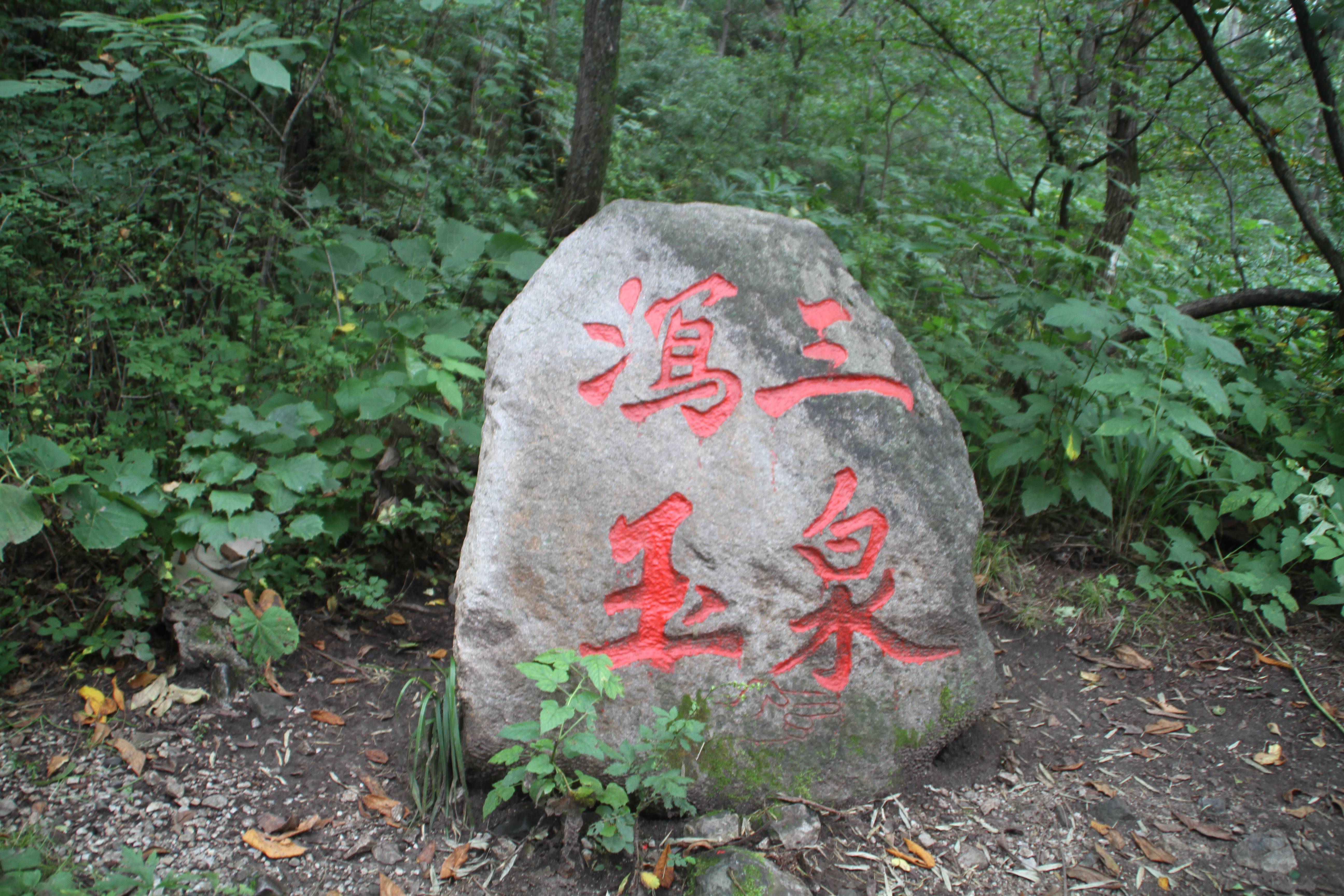 延慶的玉渡山風景區有個很美的忘憂湖和高山草甸