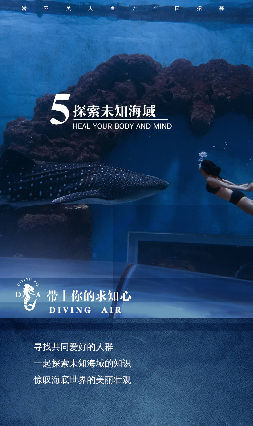 潜羽美人鱼实现自己的梦