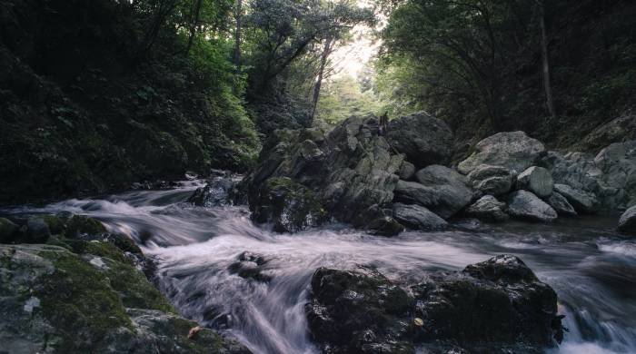 健康类家电真是火，但撬动套系全屋家电市场引爆才更美-家电圈官网