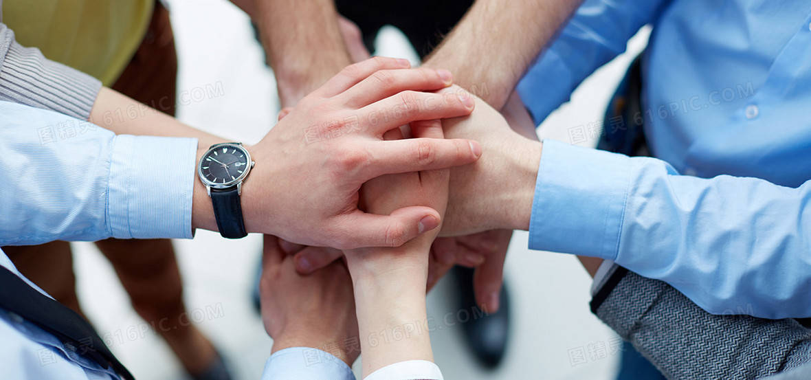 团结协作对仙踪林来说意味着什么 企业