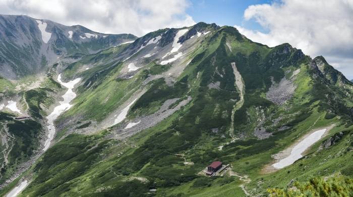 从泡泡玛特上市到北京环球影城大热，家电企业IP生意经不能停！-家电圈官网