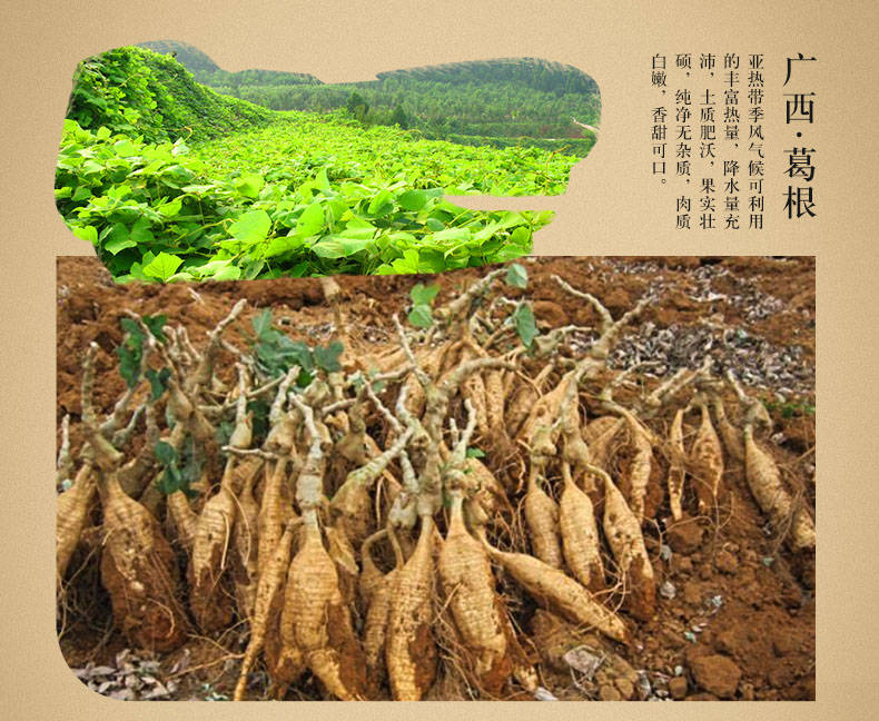 葛根魔芋木瓜粉_果实