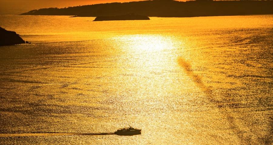 从经销商的年龄结构看家电品牌的未来前景-家电圈官网