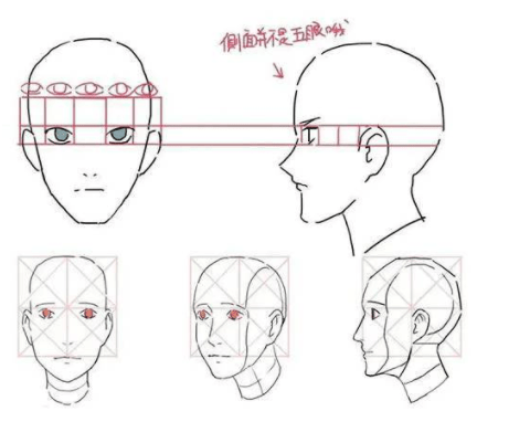 头像|门面担当绘画技巧：板绘新手怎么画头像和脸部教程