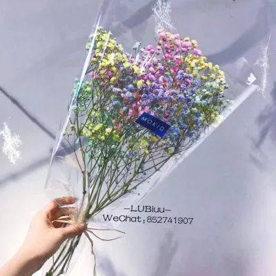 卡通 简约风格的头像|简单干净头像小清新头像|卡通可爱简单小头像|简易可爱的头像