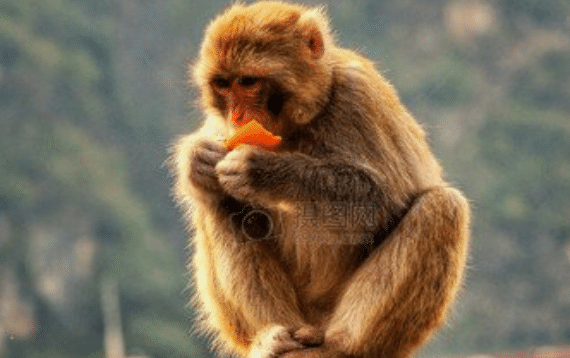 d7e8876e38c44929bf962bb6ba23c7a3.png