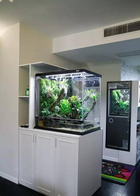 那就定做一个鱼缸摆设在家吧!