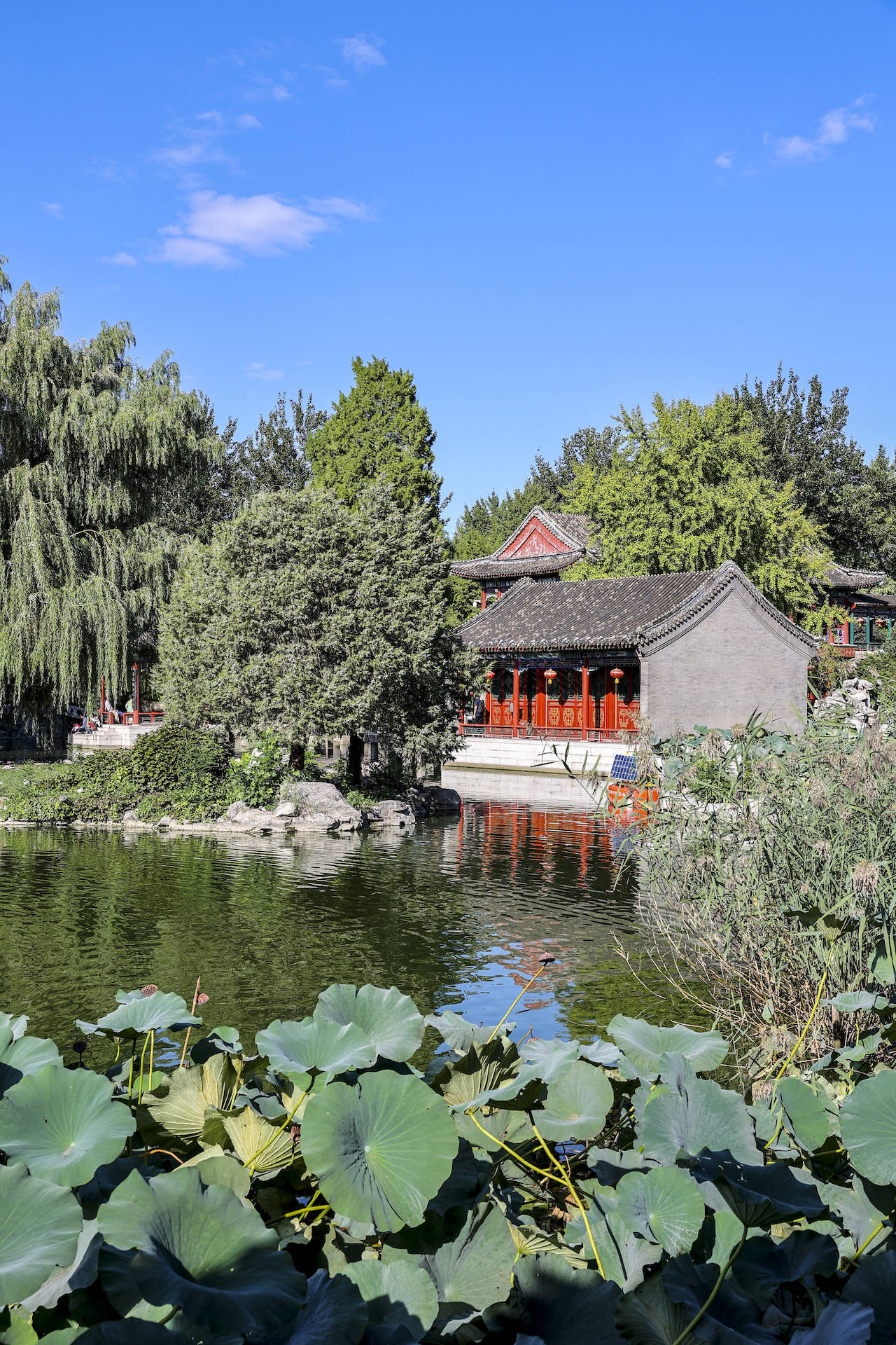 芜苑|北京二环里的古典园林，因拍过《红楼梦》而家喻户晓