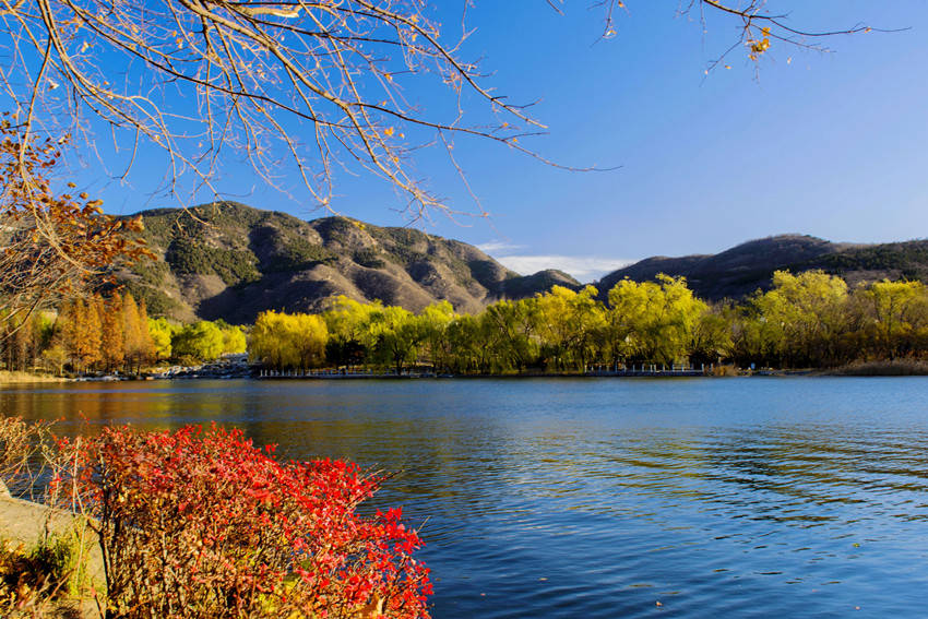 秋雨里|我爱春天 又更爱秋天