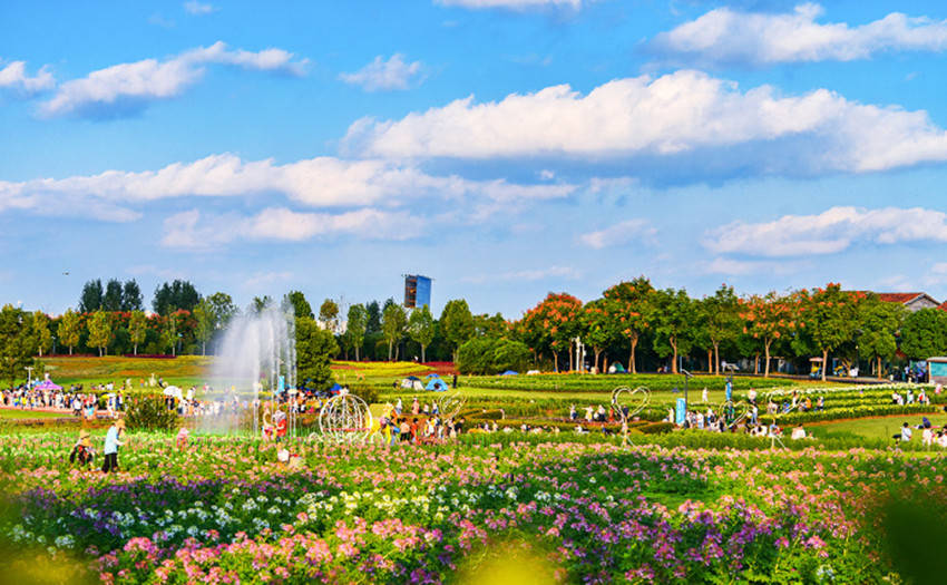 秋雨里|我爱春天 又更爱秋天