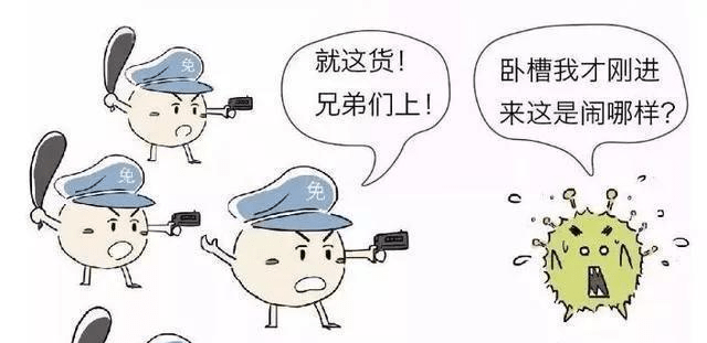 ff80d4a221db446fa14488387de78ec3.png