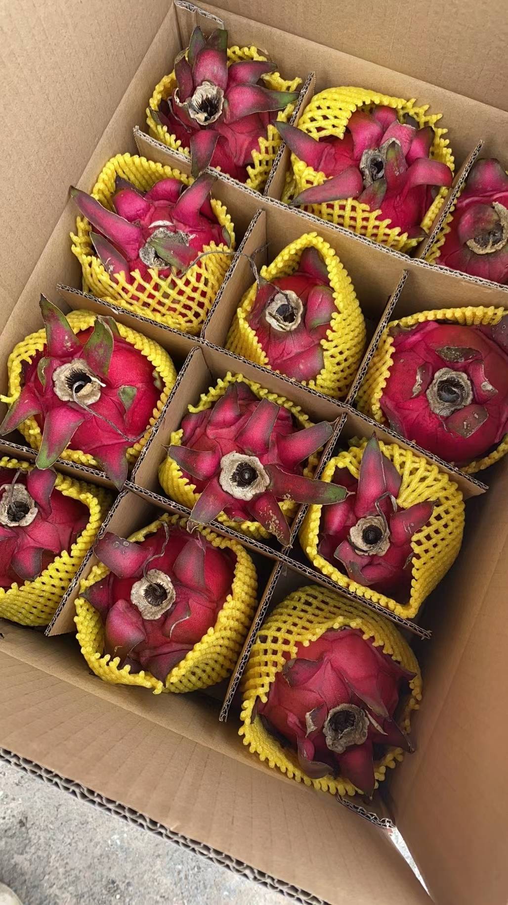 秋季减肥促进消化霸王花火龙果你选择了吗