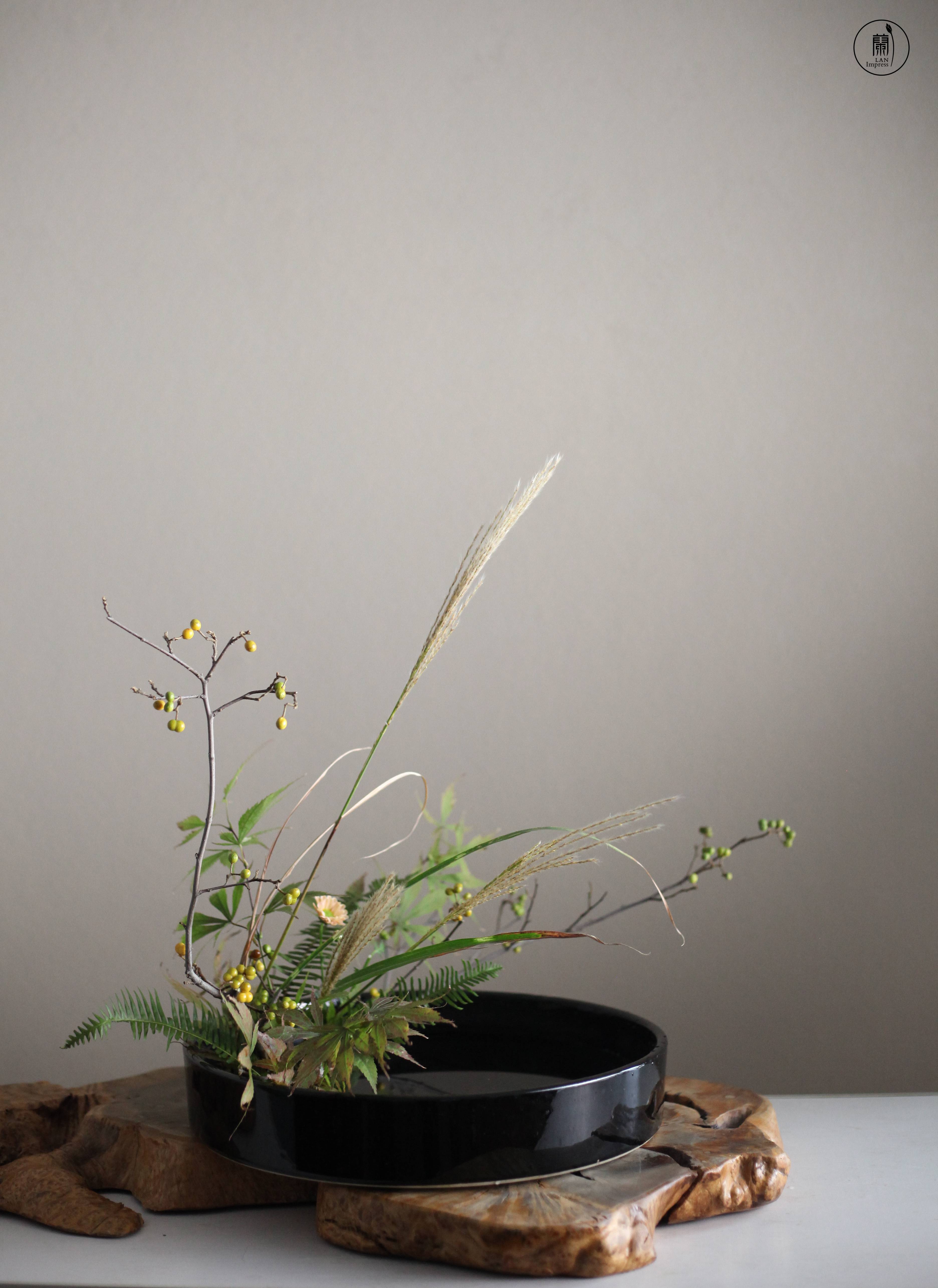 西安小原流兰印象花道秋风吹开了芦苇花