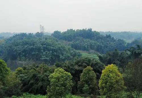 岚峰森林公园美景