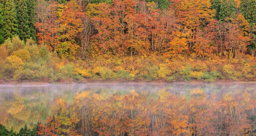 新经济环境下的家电产业出路-家电圈官网