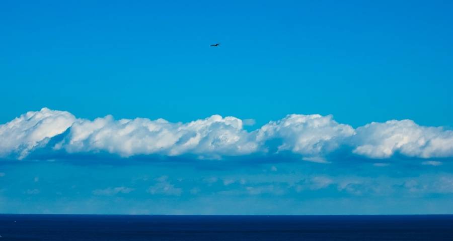 家电业十一抢市忙,美的小天鹅海信格力长虹荣耀京东老板献策-家电圈官网