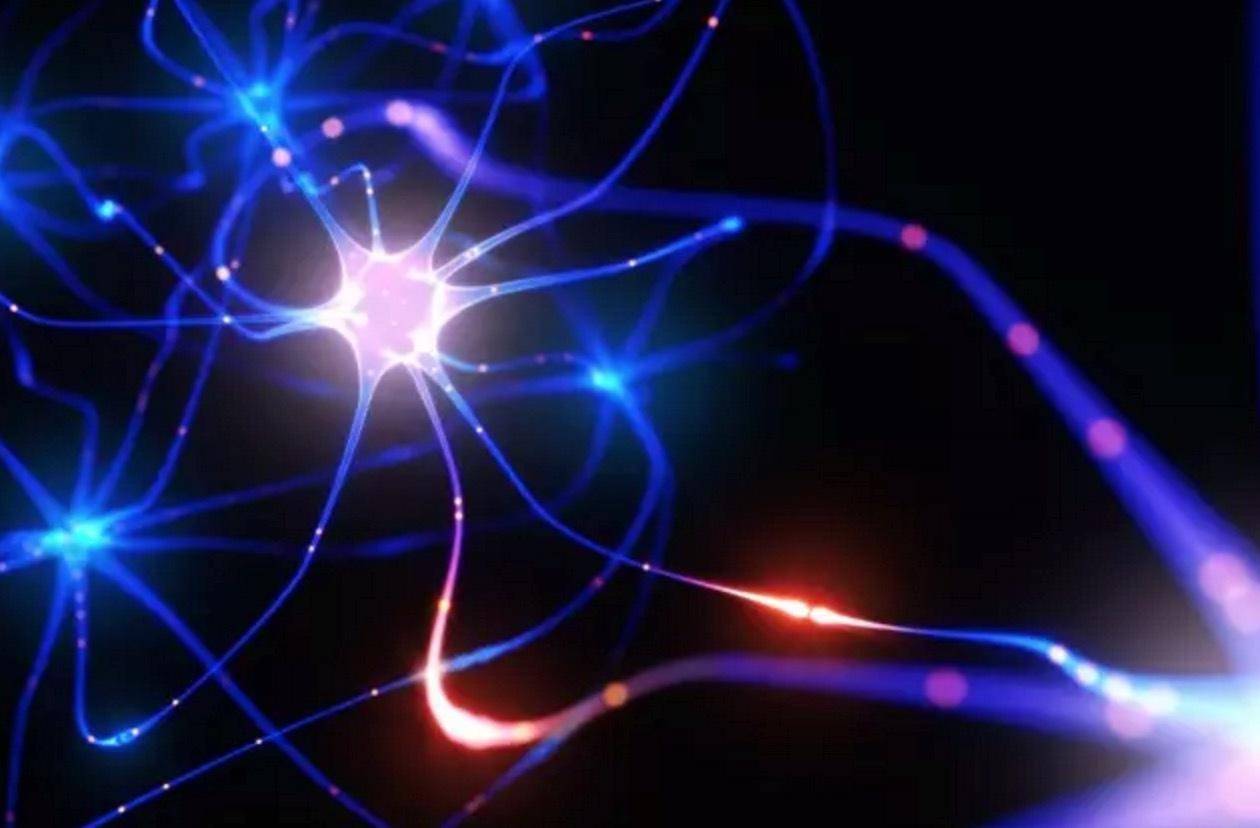 治疗|运动神经元患者康复案例13