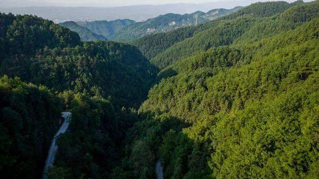 梁平东山国家森林公园美景