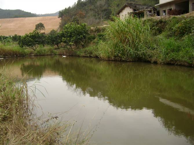 又进葵坑村