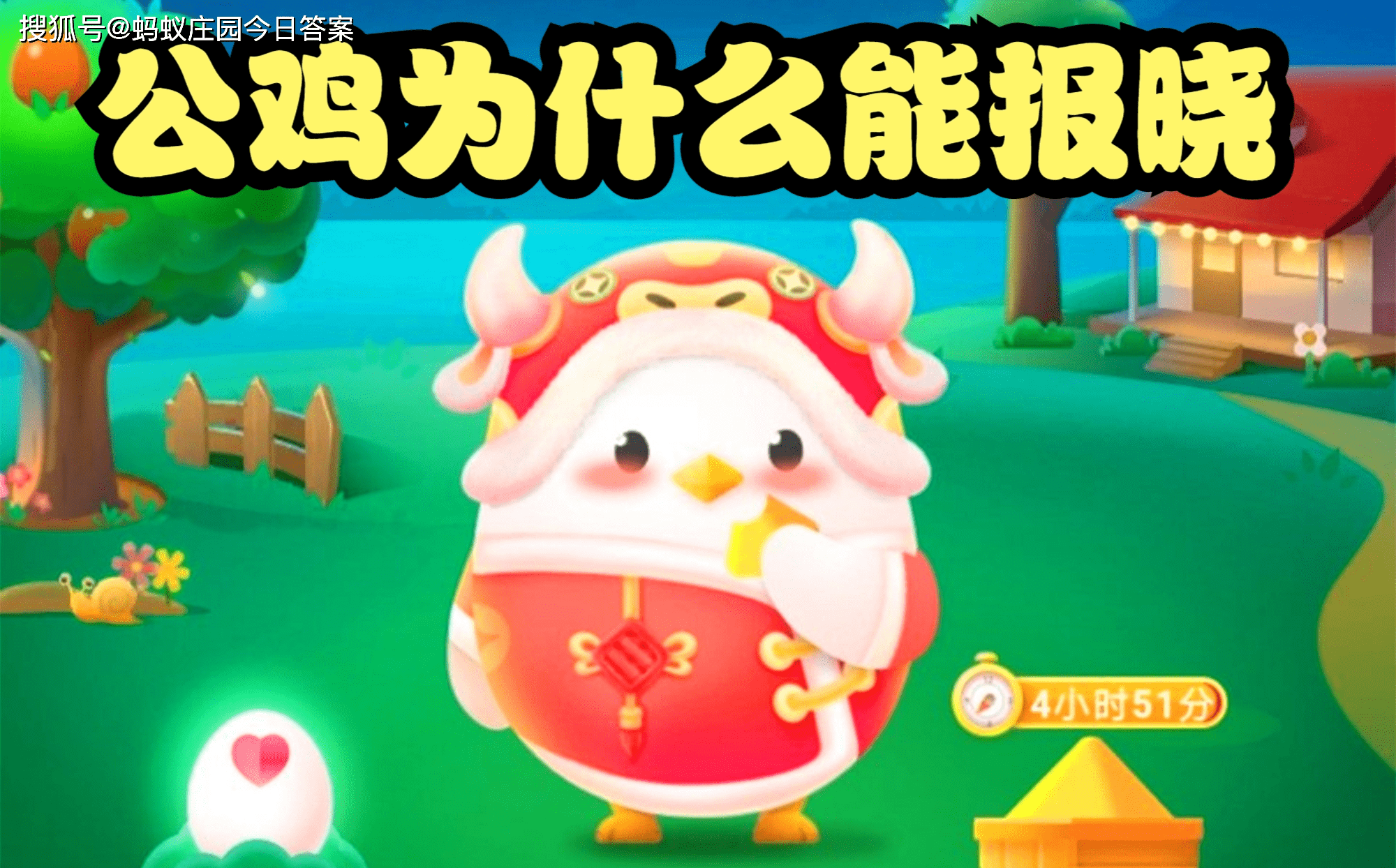 原创耳朵上有聪明孔的人更聪明这种说法靠谱吗蚂蚁庄园公鸡为什么能