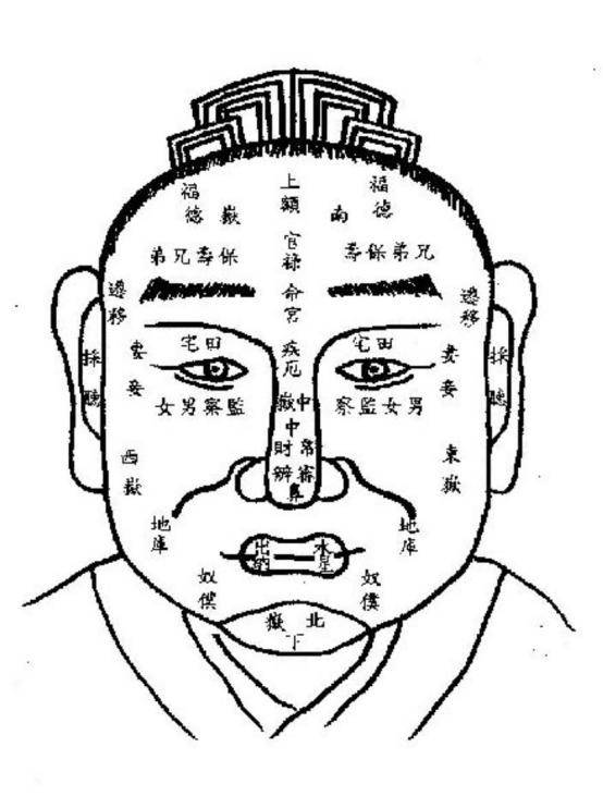 头上龙骨图片面相图片