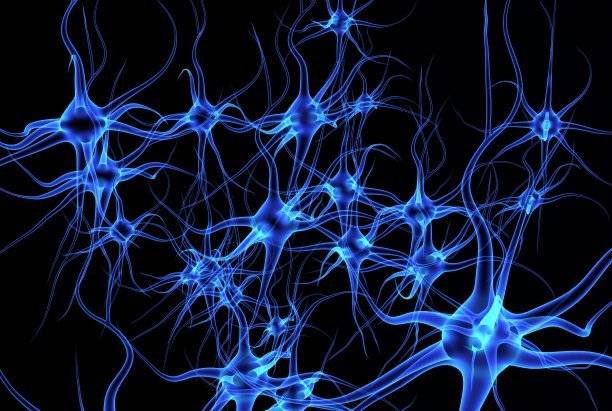 治疗|运动神经元病最新治疗方案7