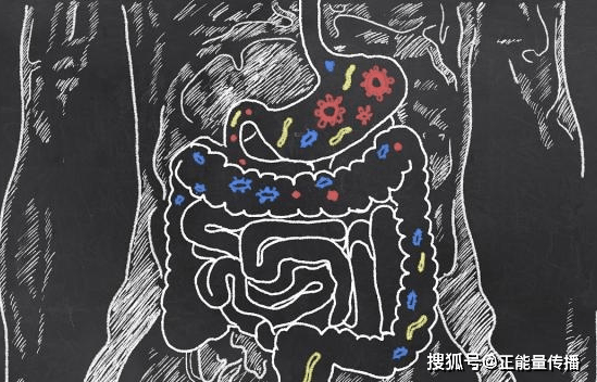 什么|“响屁不臭，臭屁不响”，有什么科学依据？起来了解下