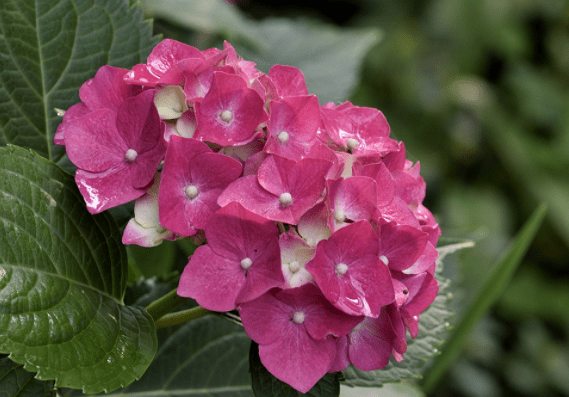 3月19日起 六六大顺 财运八方 3生肖财神进门 喜事多多 工作 方面 贵族