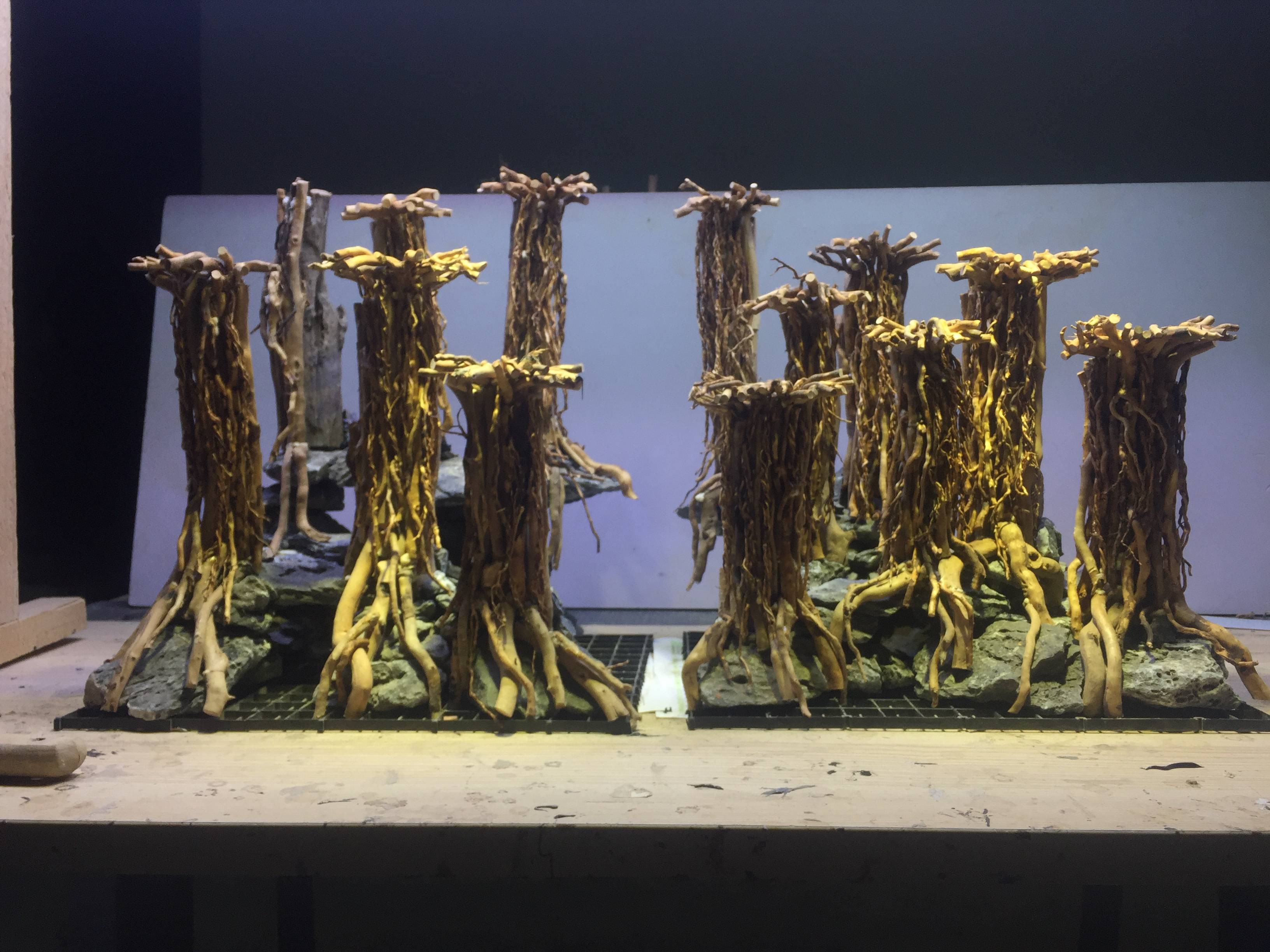 成群的八零缸莫斯树草缸造景骨架制作步骤花絮