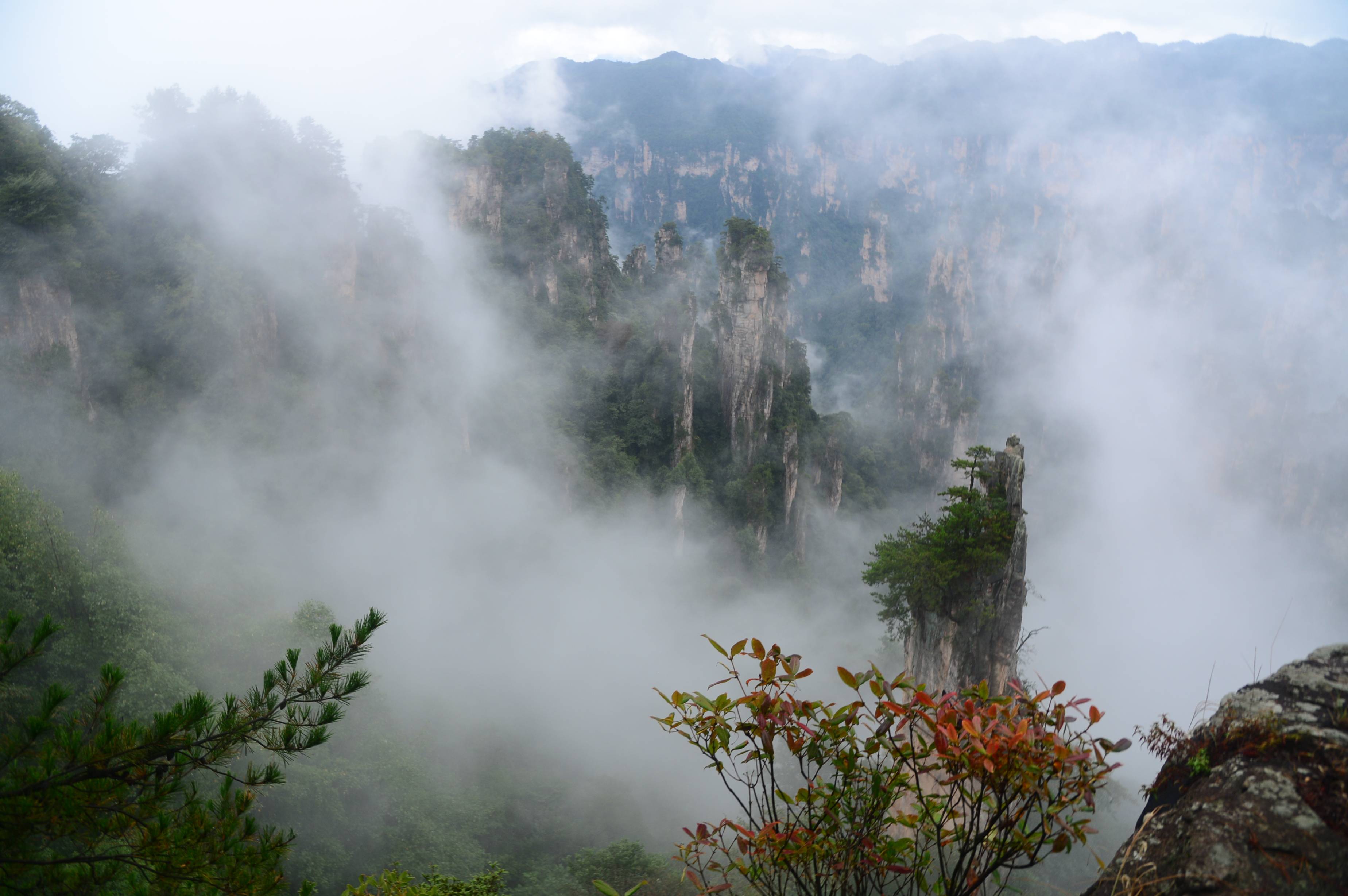 張家界10天天氣情況如何_(張家界十天的天氣預報張家界天氣預報)