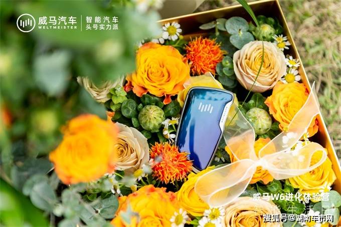 长沙威马望城砂之船店威马W6进化体验营圆满落幕_搜狐汽车_搜狐网